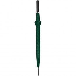 Зонт-трость Dublin, зеленый