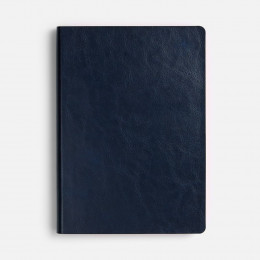 Ежедневник Doppio, недатированный, синий с оранжевым