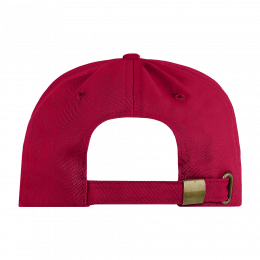 Бейсболка STAN 5 клиньев хлопок 260, 12