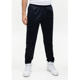 Брюки мужские STAN полиэстер, 260, 94